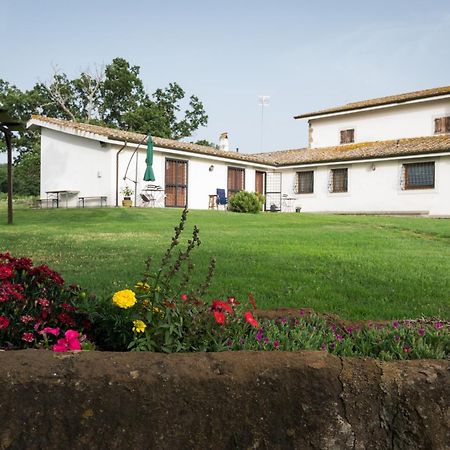 Agriturismo Il Poggio Vetralla Εξωτερικό φωτογραφία