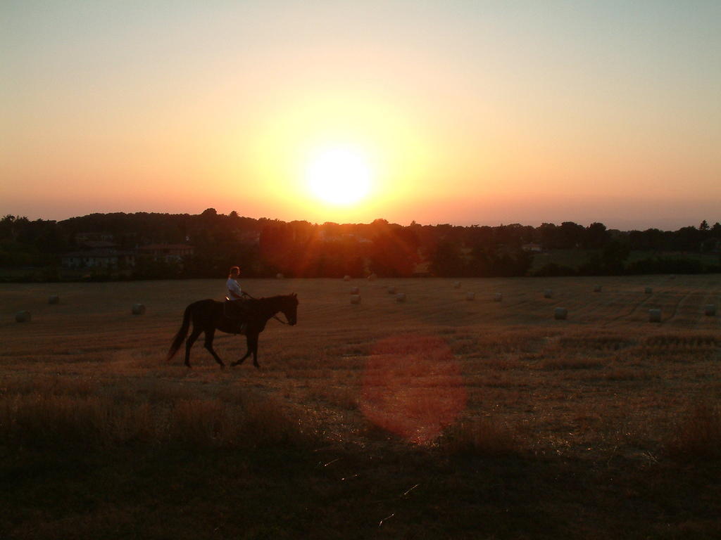 Agriturismo Il Poggio Vetralla Εξωτερικό φωτογραφία