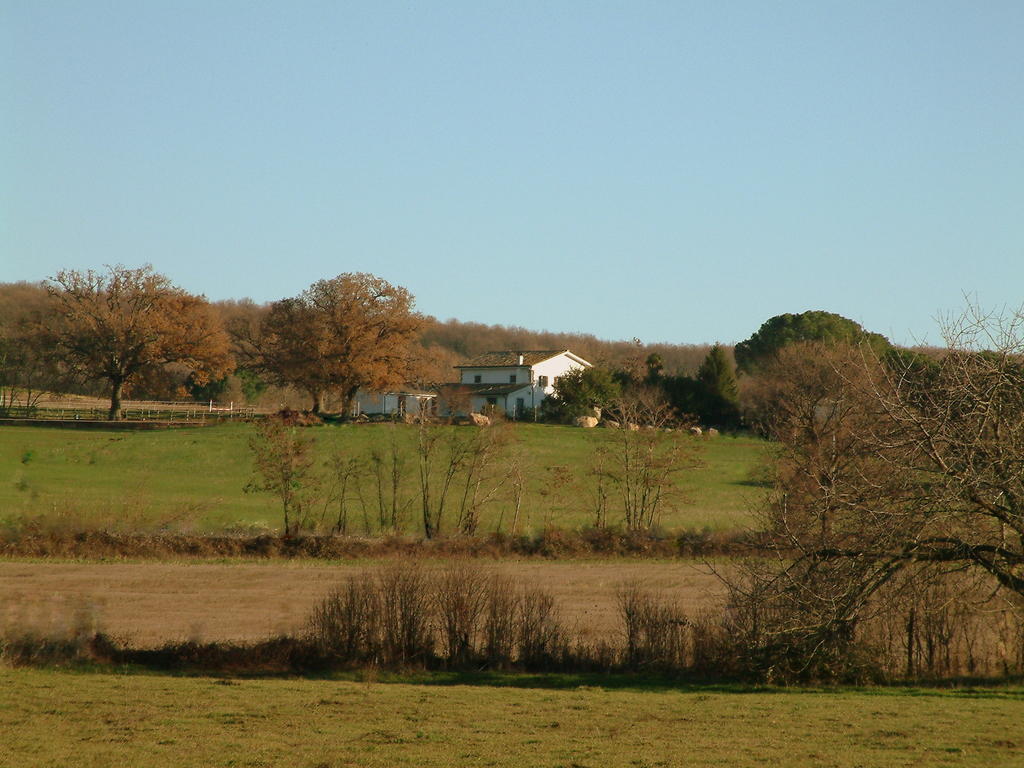 Agriturismo Il Poggio Vetralla Εξωτερικό φωτογραφία
