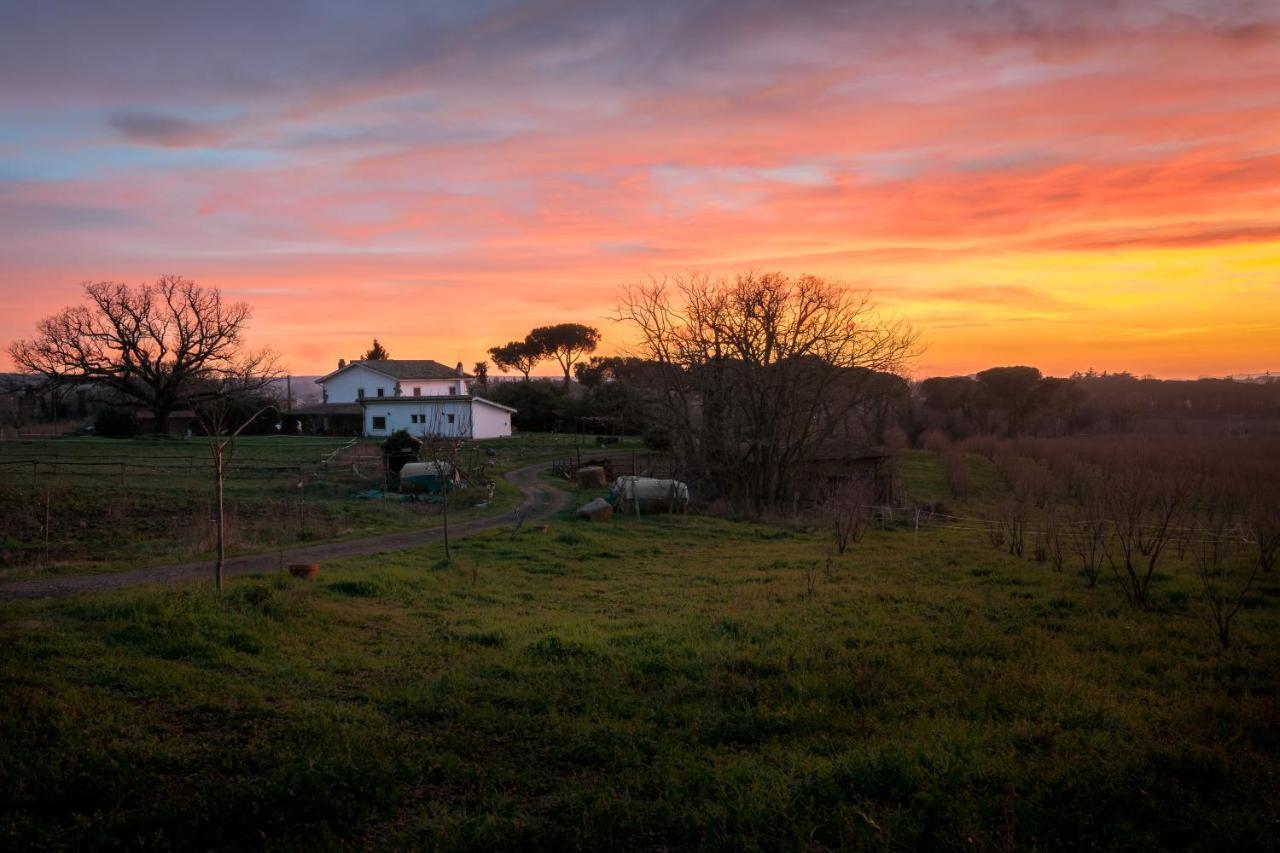 Agriturismo Il Poggio Vetralla Εξωτερικό φωτογραφία
