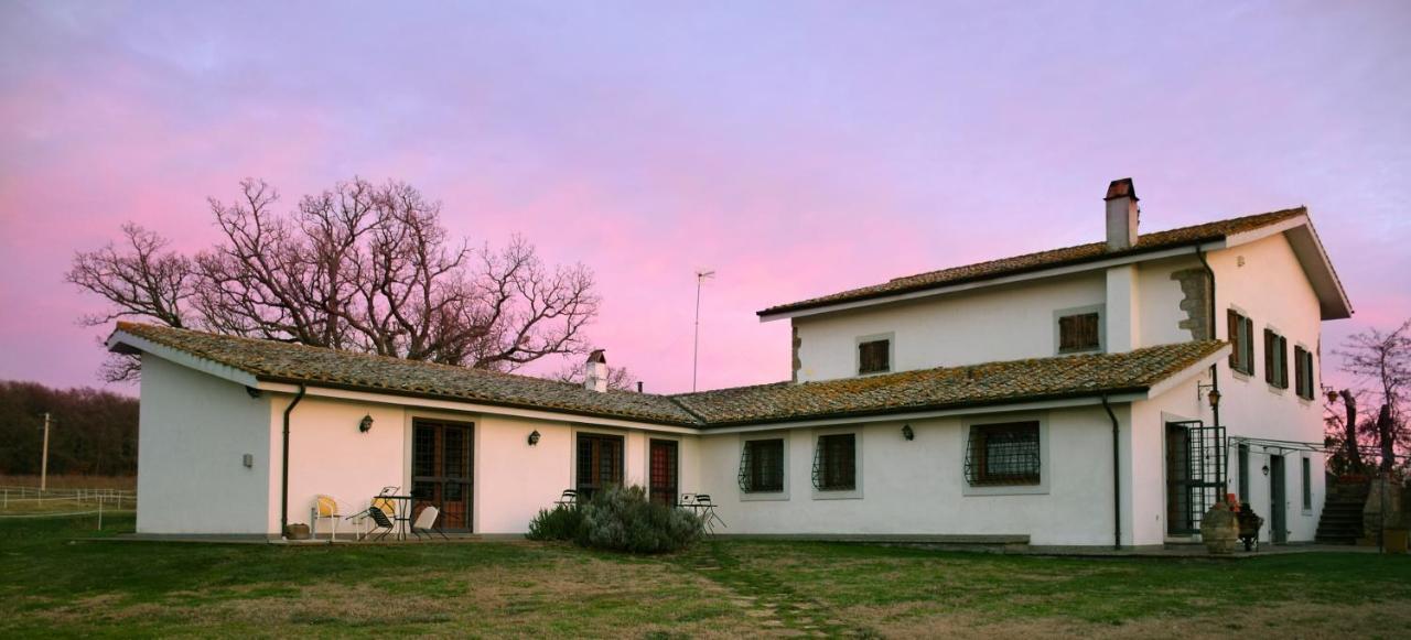 Agriturismo Il Poggio Vetralla Εξωτερικό φωτογραφία
