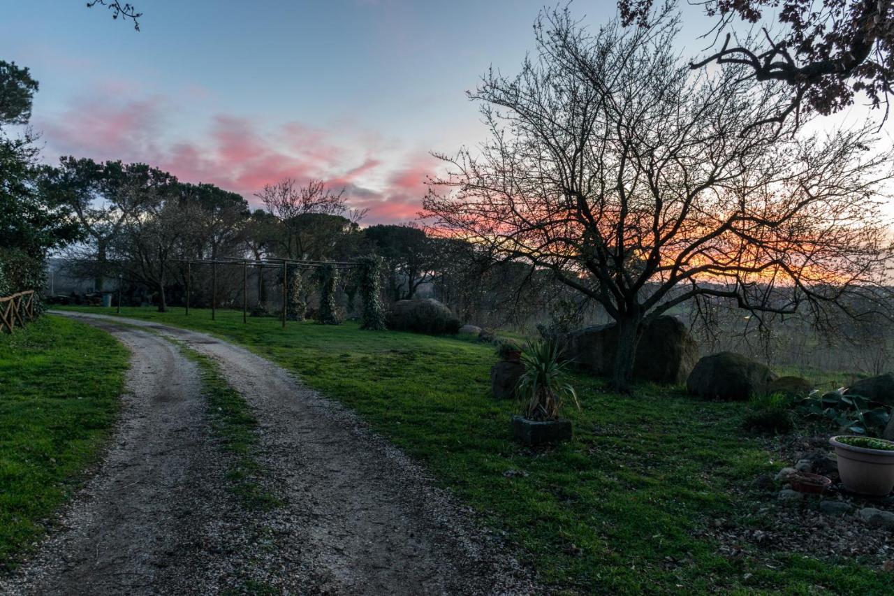 Agriturismo Il Poggio Vetralla Εξωτερικό φωτογραφία