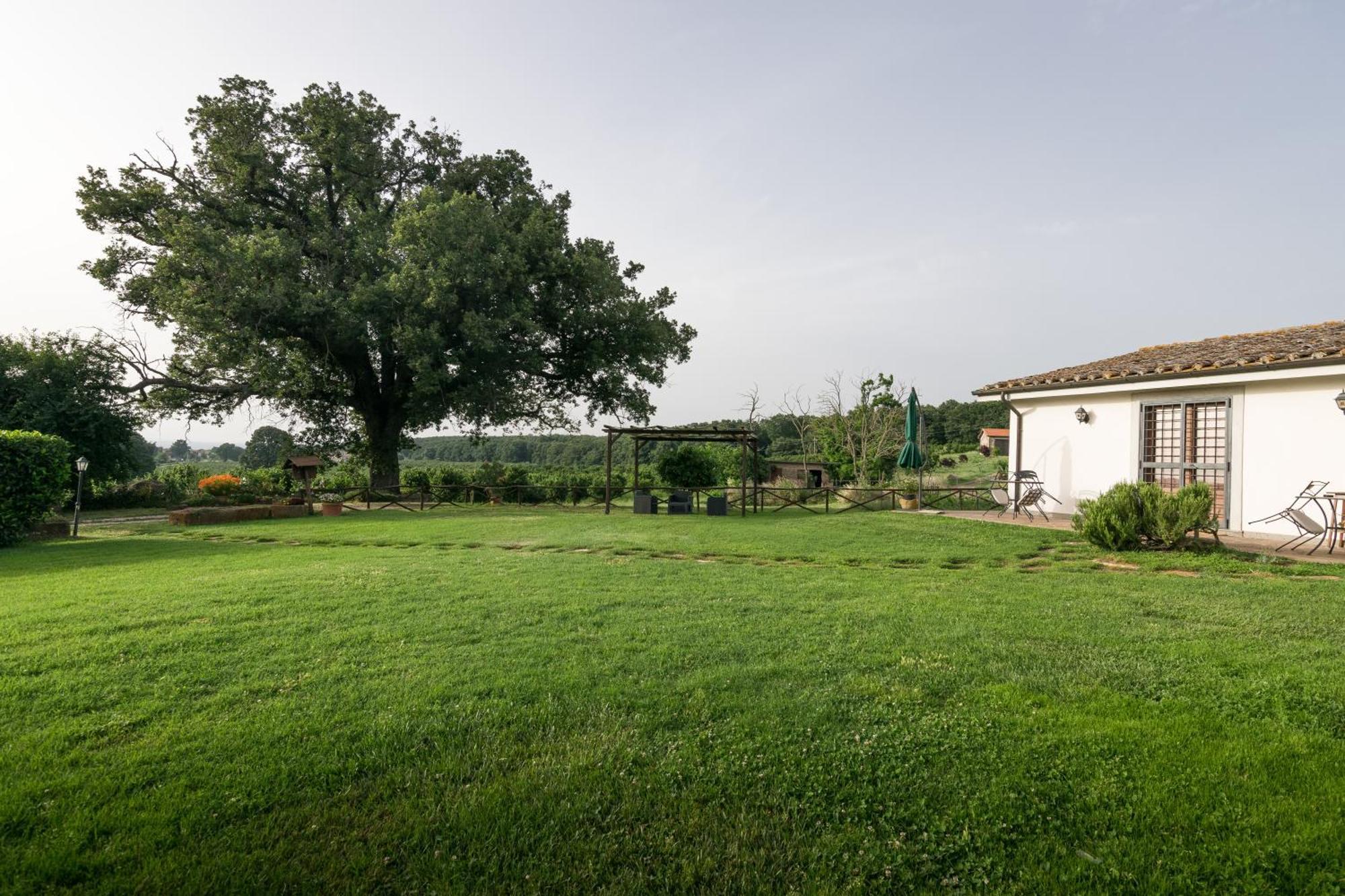 Agriturismo Il Poggio Vetralla Εξωτερικό φωτογραφία