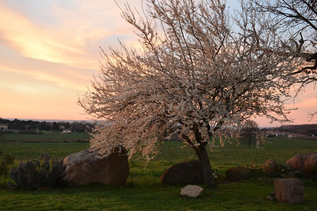 Agriturismo Il Poggio Vetralla Εξωτερικό φωτογραφία